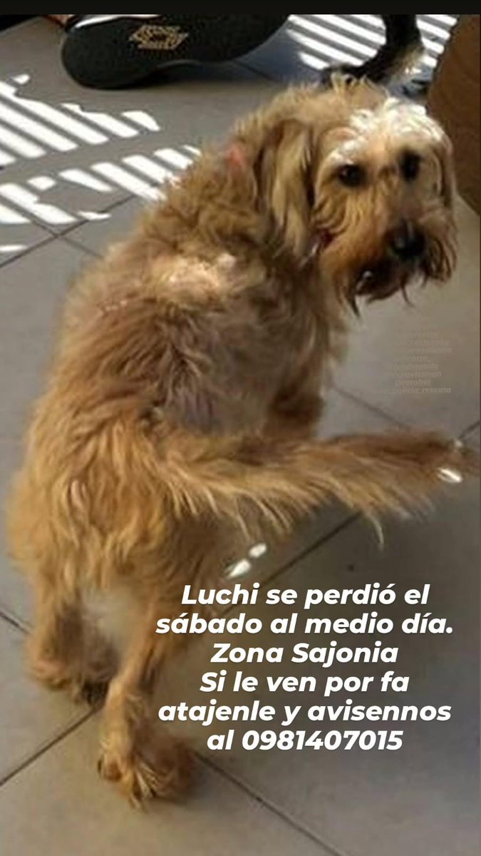 Aggi_Flo's tweet image. Rt x fa!!!