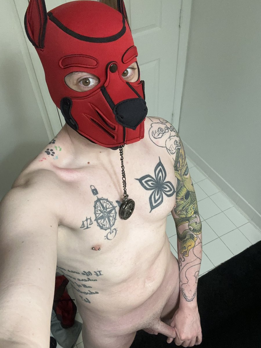 Have some interested parties but still wanna reach out. Still looking for a new roommate. Hoping to get someone in the beginning of October or November. So if anyone is interested in the Silver Spring MD/DC area, lemme know.