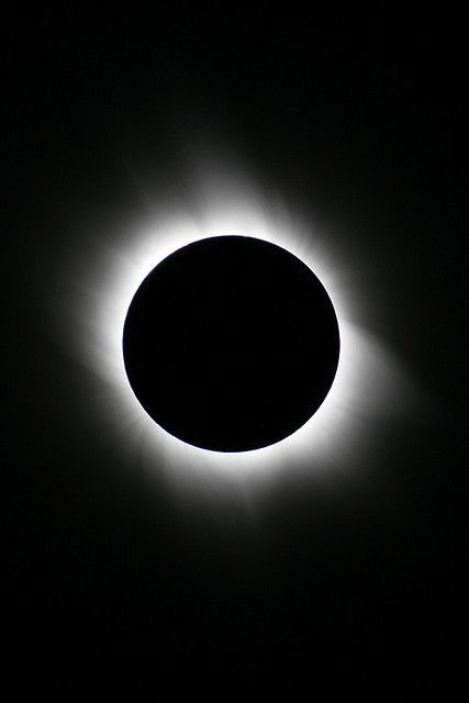 forallcurious's tweet photo. TOMORROW🚨: A Rare ‘Black Moon’ Will Darken the Skies — and Mark a Celestial Countdown! https://t.co/5ASY05MGgy