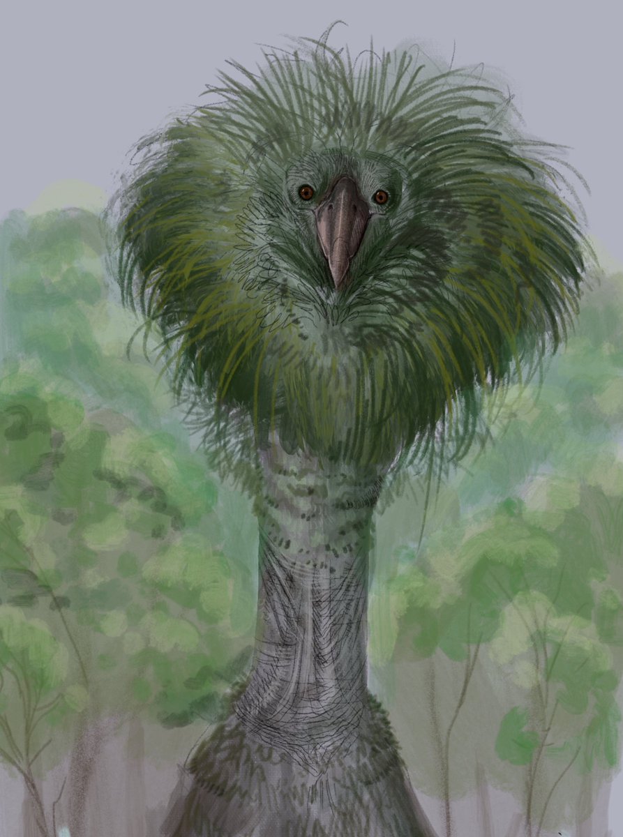 Saw future is wild is holding creature submissions, here’s a spec evo penguin evolved to disguise as a tree to attack unwary prey