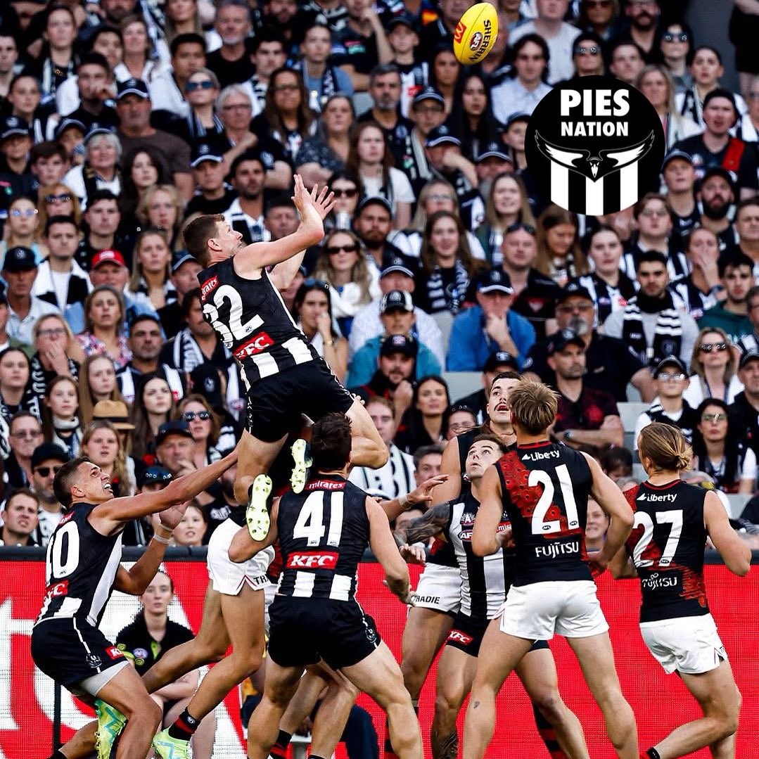 PiesNation tweet media