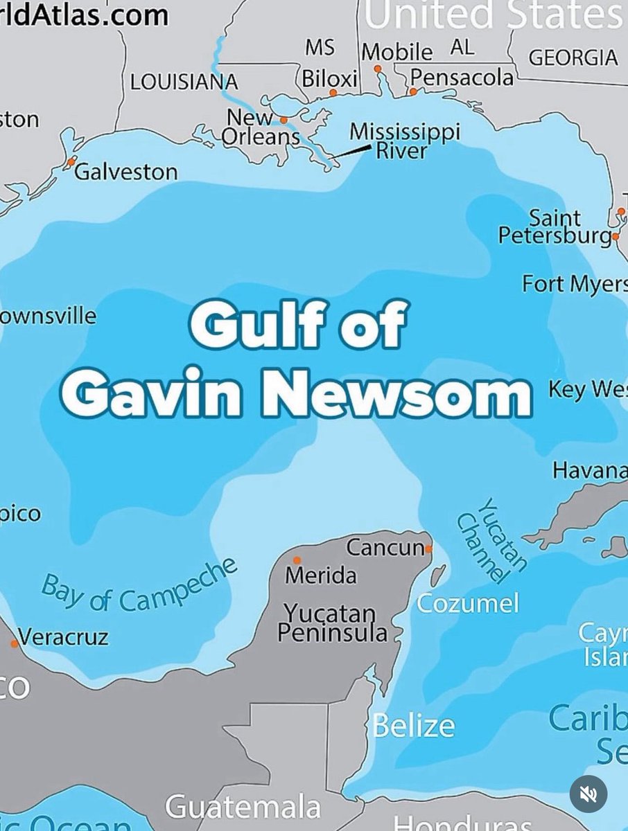 pameladetlor (@pameladetlor) on Twitter photo 