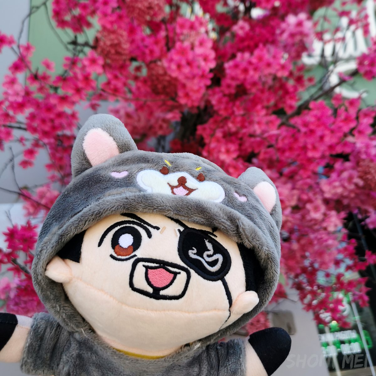 Shoni_Mei's tweet photo. The Amazing and Incredible Adventures of Chibijima! That awkward moment when Majima has more vacation photos than you do.

#majima #majimagoro https://t.co/2SMb71uBwl