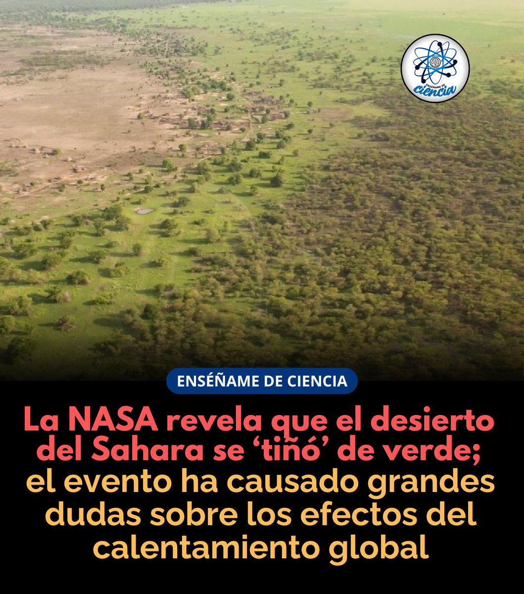 🚨  Importante 🚨.  .