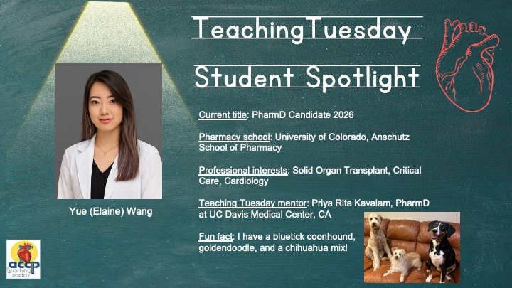 accpcardprn's tweet image. Meet Dr. Yue (Elaine) Wang, PharmD Candidate 2026 from University of Colorado, Anschutz School of Pharmacy.  Tune in next week for her #TeachingTuesday discussiin pulmonary hypertension and its treatment.