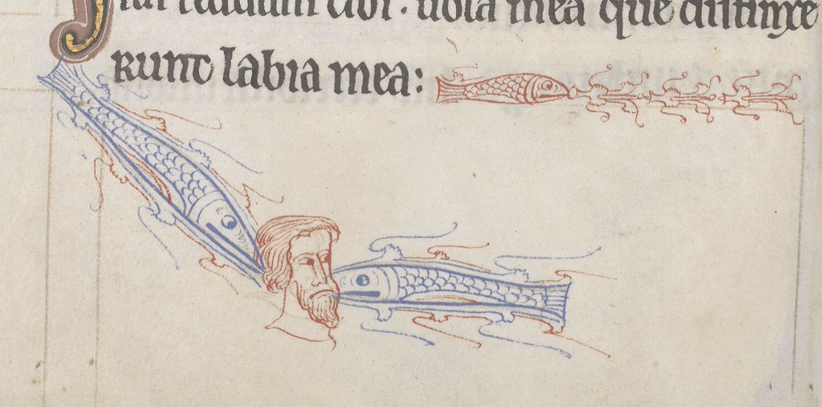 From killer bunny rabbits and griffin knights to jousting snails, the margins of medieval manuscripts are full of all sorts of fantastical creatures.

Today's blogpost explores the ferocious fish that fill the pages of a 13th-century illuminated Psalter. 

blogs.bl.uk/digitisedmanus…