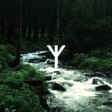 quantrape tweet media