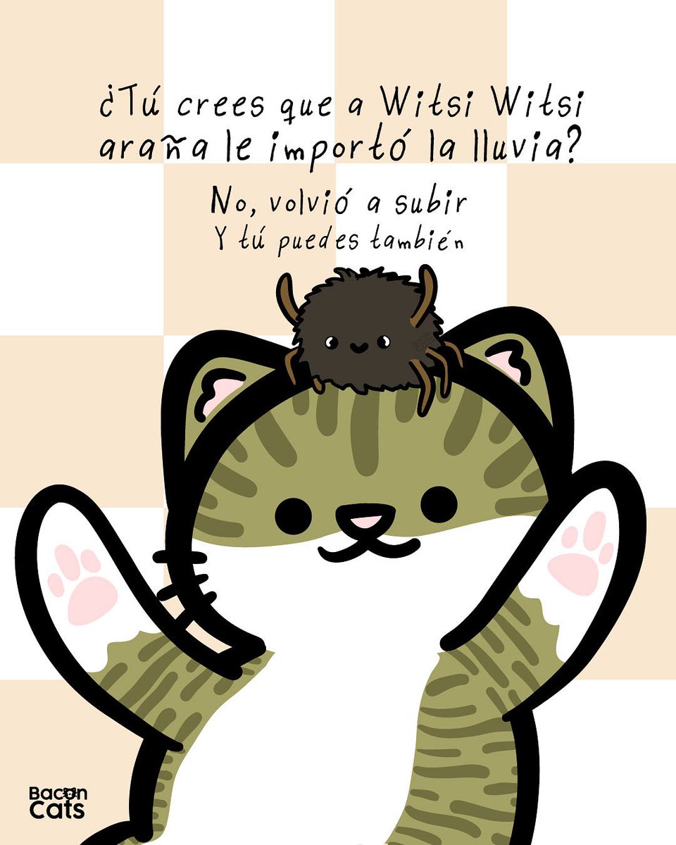 Sé como Witsy Witsy araña 🕷️🐱😎