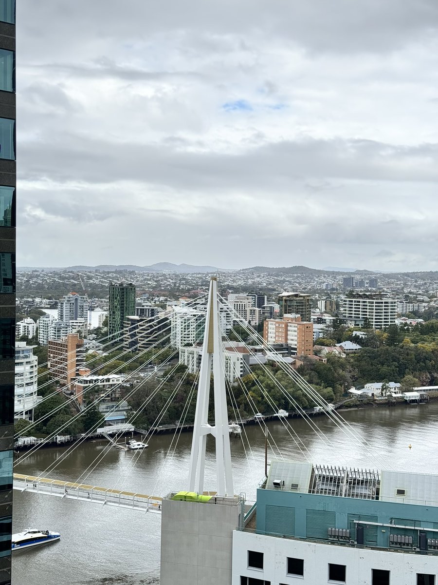 MinGoran tweet media