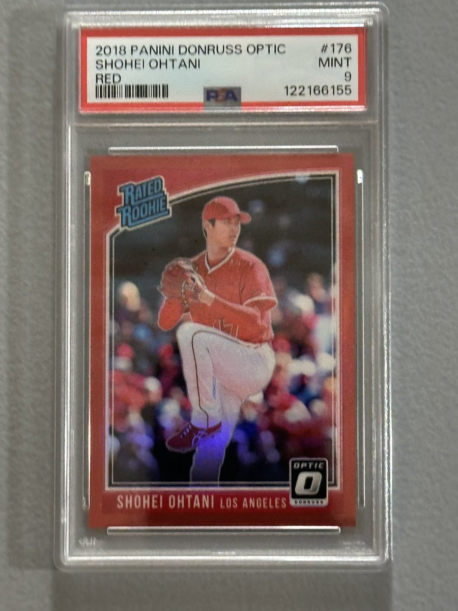 Cardboard Church 🦍🧪 🐻 tweet media