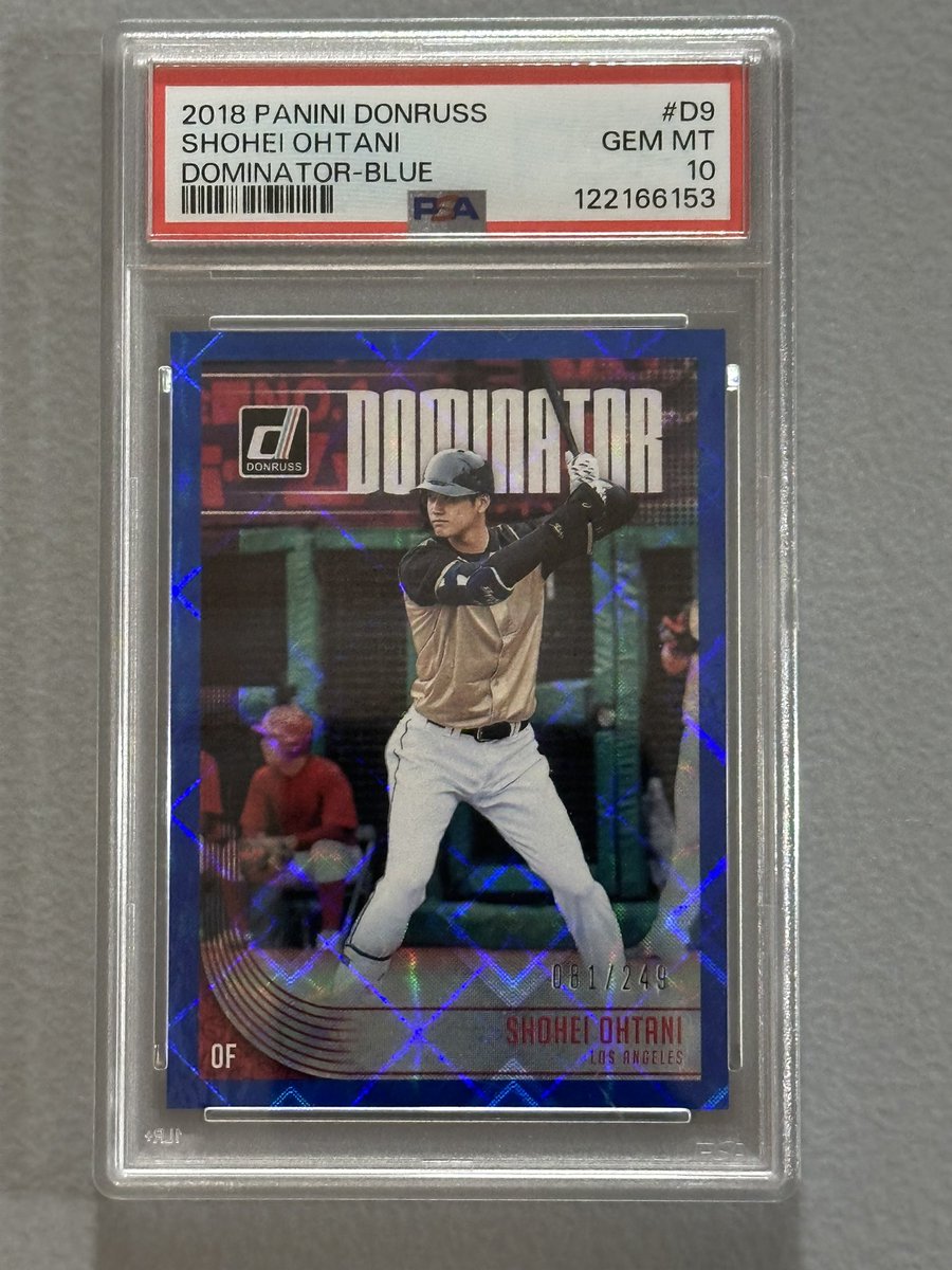 Cardboard Church 🦍🧪 🐻 tweet media