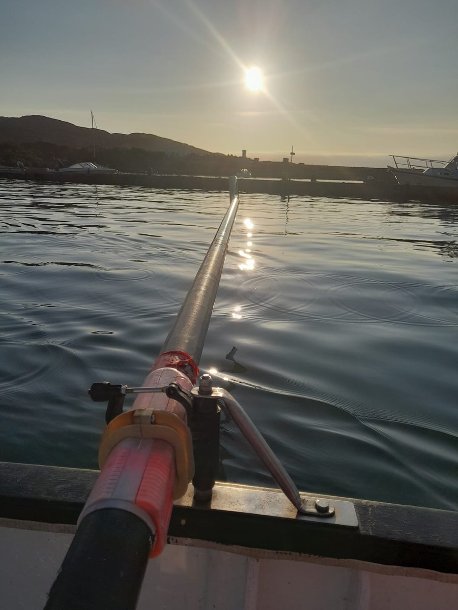 MIDAS 🎮🏴󠁧󠁢󠁷󠁬󠁳󠁿 tweet media