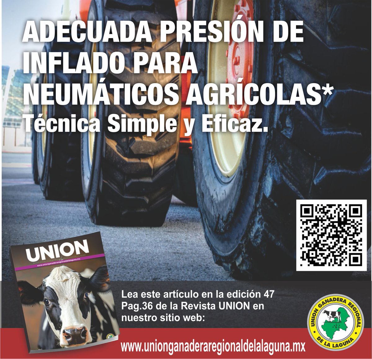 Las mejores investigaciones plasmadas en artículos que pueden incrementar el rendimiento en su establo lechero, escritos solo por profesionales en la materia, encuéntralos en  unionganaderaregionaldelalaguna.mx/revistas/
#revistaunion #ganaderia #vacas #granjaslecheras