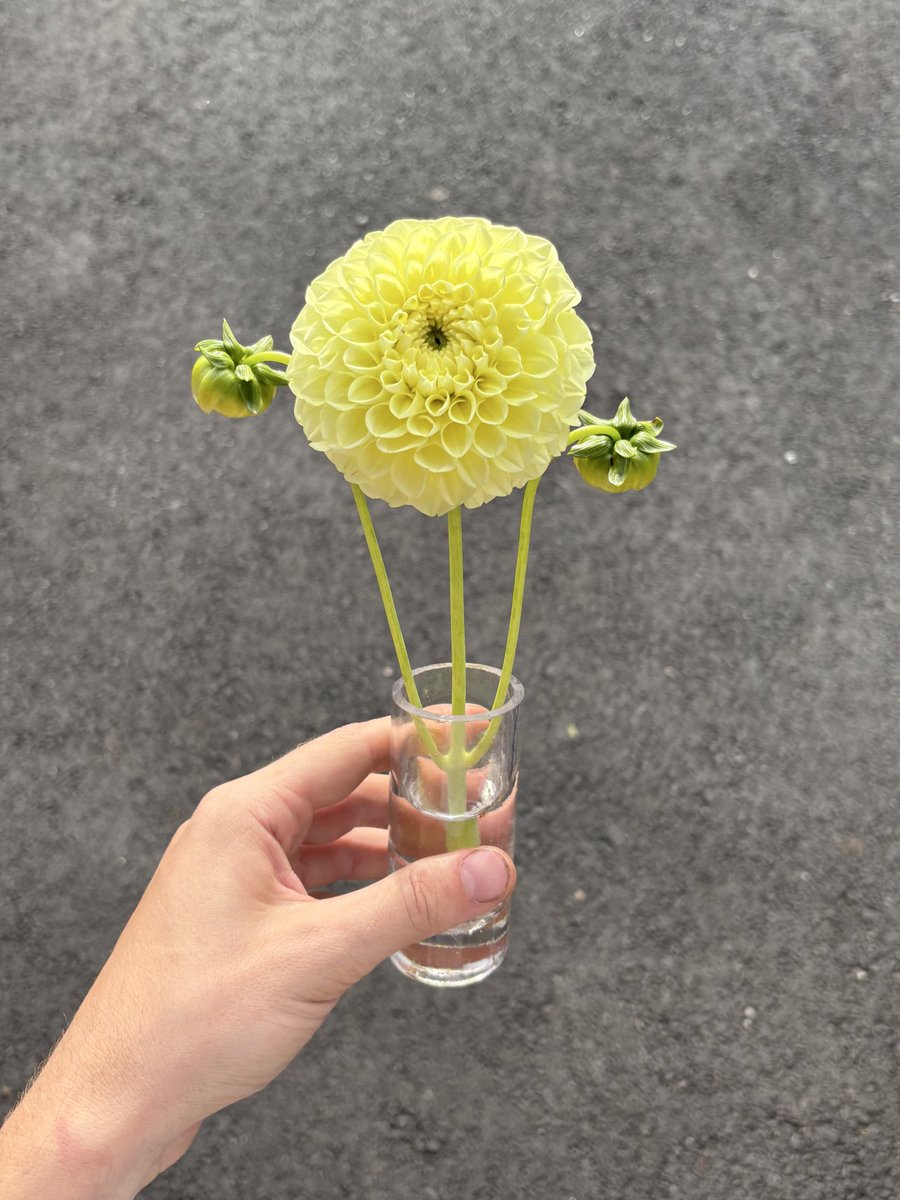 wes (@wesipads) on Twitter photo 