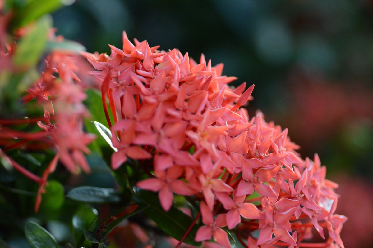 おはウィクです☺️
“好き”は、比べなくていい自分だけの宝物💎
大事にすれば、もっと輝く
#好きなことを続ける #自分の宝物 #夢中になる