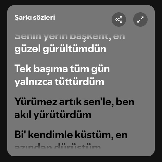 Senin yerin başkent, en güzel gürültümdün, Tek başıma tüm gün yalnızca tüttürdüm