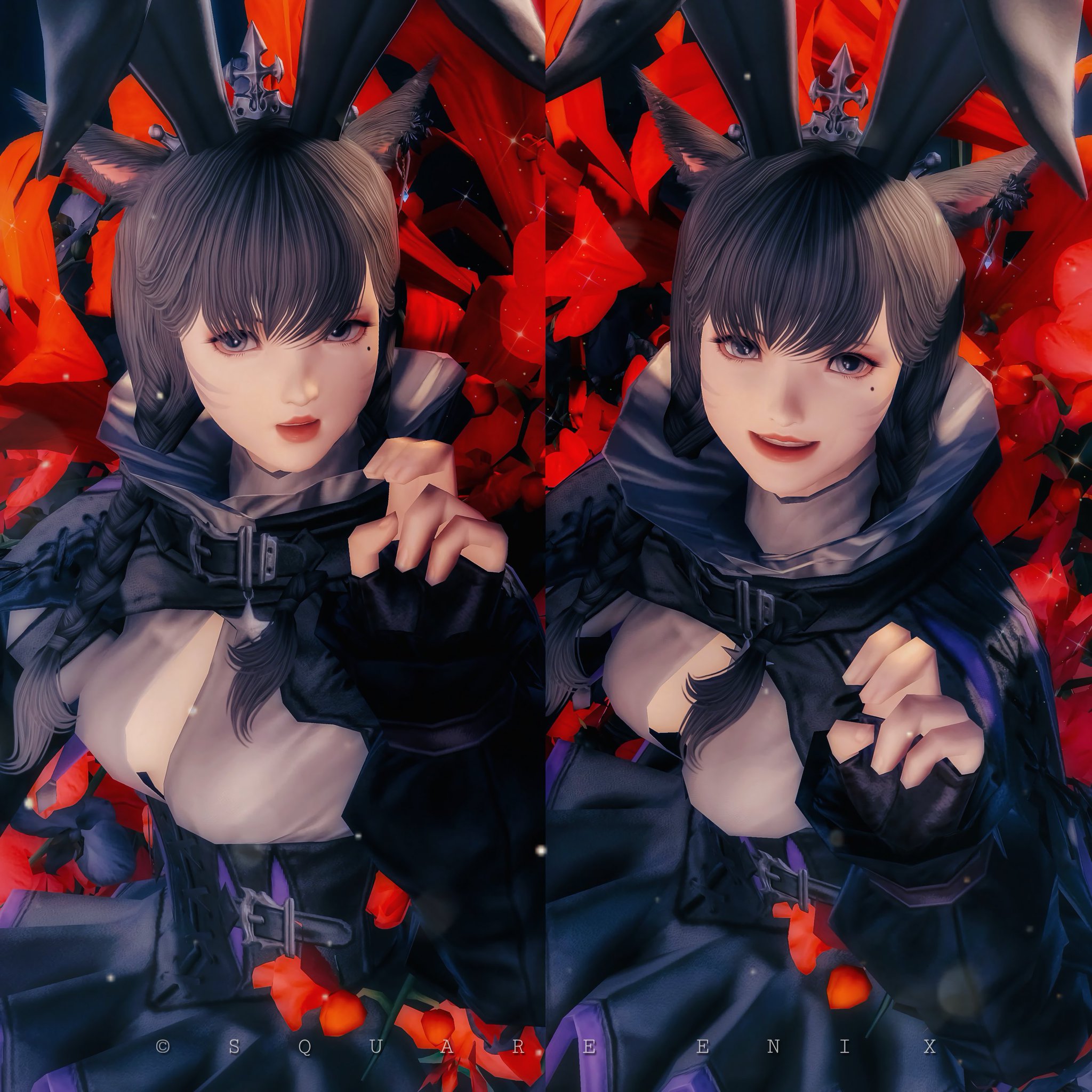その他 kuroneko 黒猫@( 後角ゼラちゃんの姿🦎❤︎ ) on X: 