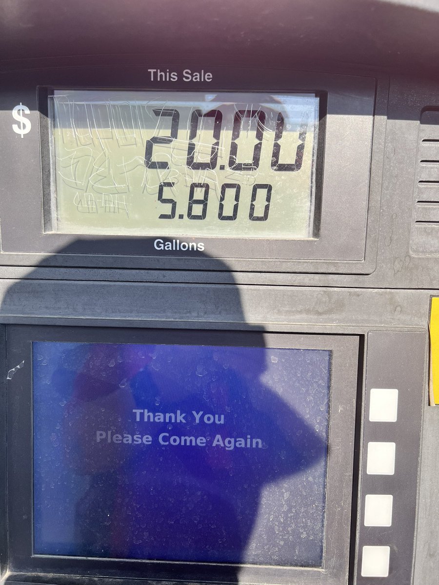 Dondo 🍕 tweet media