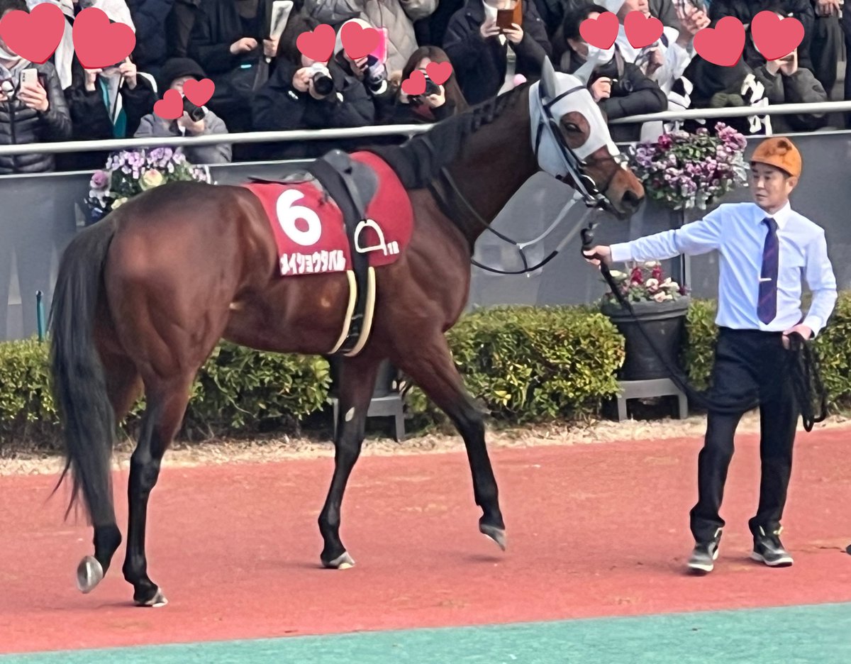 セレモニーターフィー Amazon.co.jp: セレモニーターフィー ぬいぐるみ 競馬 JRA