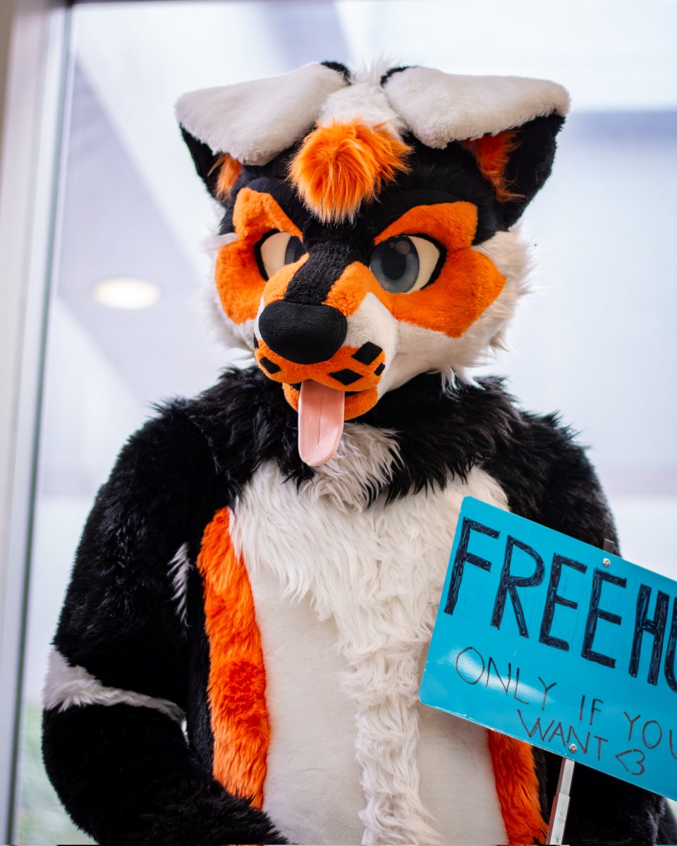 Frisky ๐ฆจ Skunkdog ๐ถ โก๏ธ FWA (@jetstreamwolf) on Twitter photo Megaplex is coming up next week! โจ๏ธ
If you see me around, please feel free to say hi, Iโd love to chat and share a hug! Yes, I mean you reading this right now, hehe. Sending fluffy hugs your way if youโd like one ๐งก
๐ท <a href="/yukonbarksalot/">Yukon ๐บ Arvo ๐ฆ</a>
๐จ <a href="/lemonbrat/">Lemonbrat@Anthrocon! ๐๐๐</a> ๐ถ
๐จ @.GrassyKitsu ๐ Megaplex is coming up next week! โจ๏ธ
If you see me around, please feel free to say hi, Iโd love to chat and share a hug! Yes, I mean you reading this right now, hehe. Sending fluffy hugs your way if youโd like one ๐งก
๐ท <a href="/yukonbarksalot/">Yukon ๐บ Arvo ๐ฆ</a>
๐จ <a href="/lemonbrat/">Lemonbrat@Anthrocon! ๐๐๐</a> ๐ถ
๐จ @.GrassyKitsu ๐