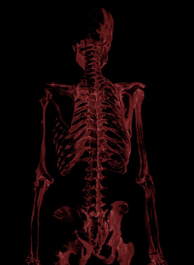 M0RNINGSTARM0B's tweet image. ⠀

 ⠀  ⠀❍·˚  ... WOLFGANG
 ⠀   ⠀   ⠀    ⠀  ⠀   VON
 ⠀  ⠀  ݁  ...  ADELAIDE. ◞ 

⠀♯ kill  your GODS … 
⠀  ⠀…⠀  devour your OPPRESSORS . ☽

 ⠀  ⠀