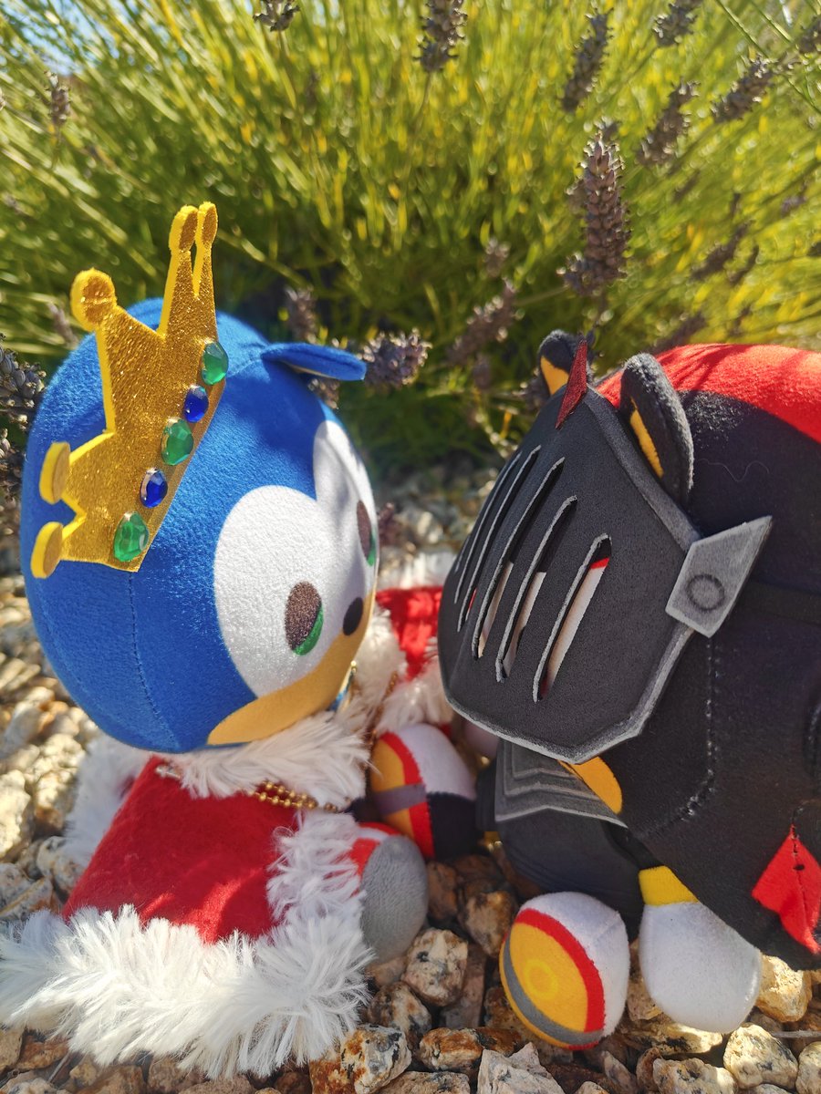 I am Sir Lancelot, King Arthur's closest and most trusted knight👑⚔️
#arthurlot #lansoni #sonadow