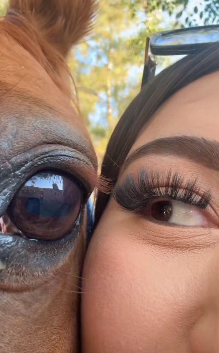butchannie's tweet photo. sasha would do this with her horses https://t.co/g9PfhMqVIZ