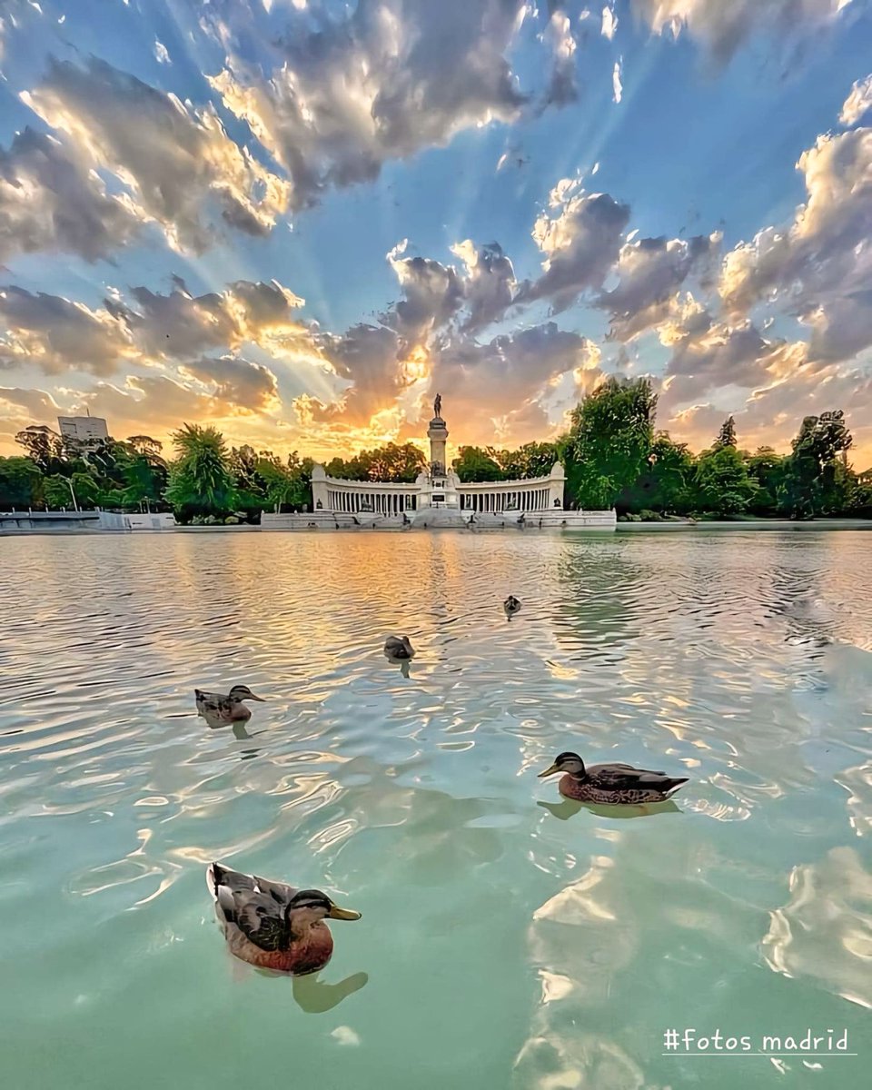 HarmonySmi3910's tweet image. Good evening all from Madrid !