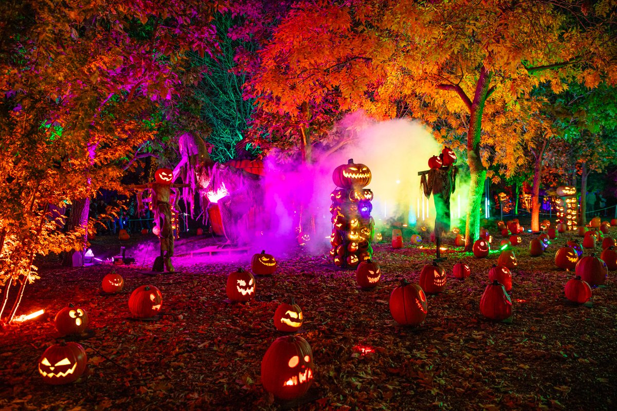 Thirteenth Floor Entertainment Group’s Magic of the Jack O’Lanterns Enchants South Coast Botanic Garden This Fall. This years event begins September 19th. 

#MagicOfTheJackOLanterns 

parkjourney.com/industry-news/…