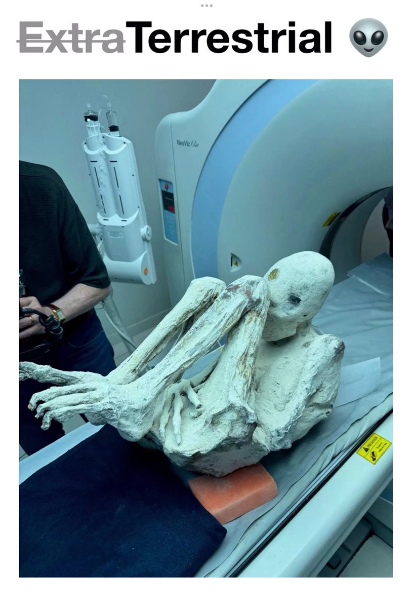 Robin081564's tweet image. Aztlan Tenochtitlan (@LifeRep) just delivered the most comprehensive summary report, on the ongoing Nazca Mummy saga, available to date.

This should be required reading for  #ufotwitter.  

Link in Tweet below: