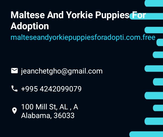Hey everyone, checkout my website:…eseandyorkiepuppiesforadopti.com.free built through the WebsiteBuilder