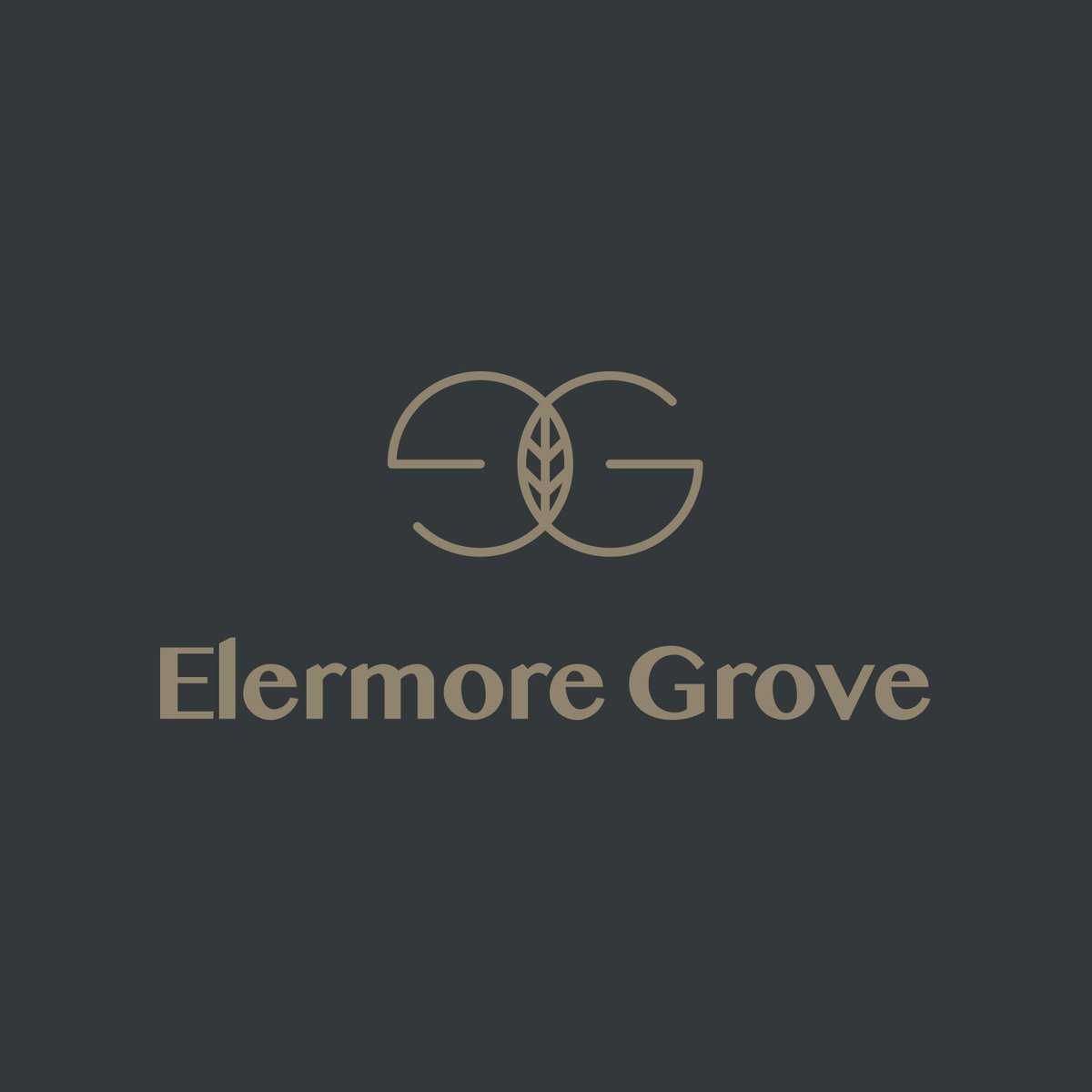 Logo Reveal: Elermore Grove for Mint Property
A seamless loop between ‘E’ and ‘G’, grounded by a subtle leaf form.
Connection, community and modern heritage — captured in one mark.

Crafted by psyborg® | part mind. part machine.

#LogoDesign #PropertyBranding #ElermoreGrove