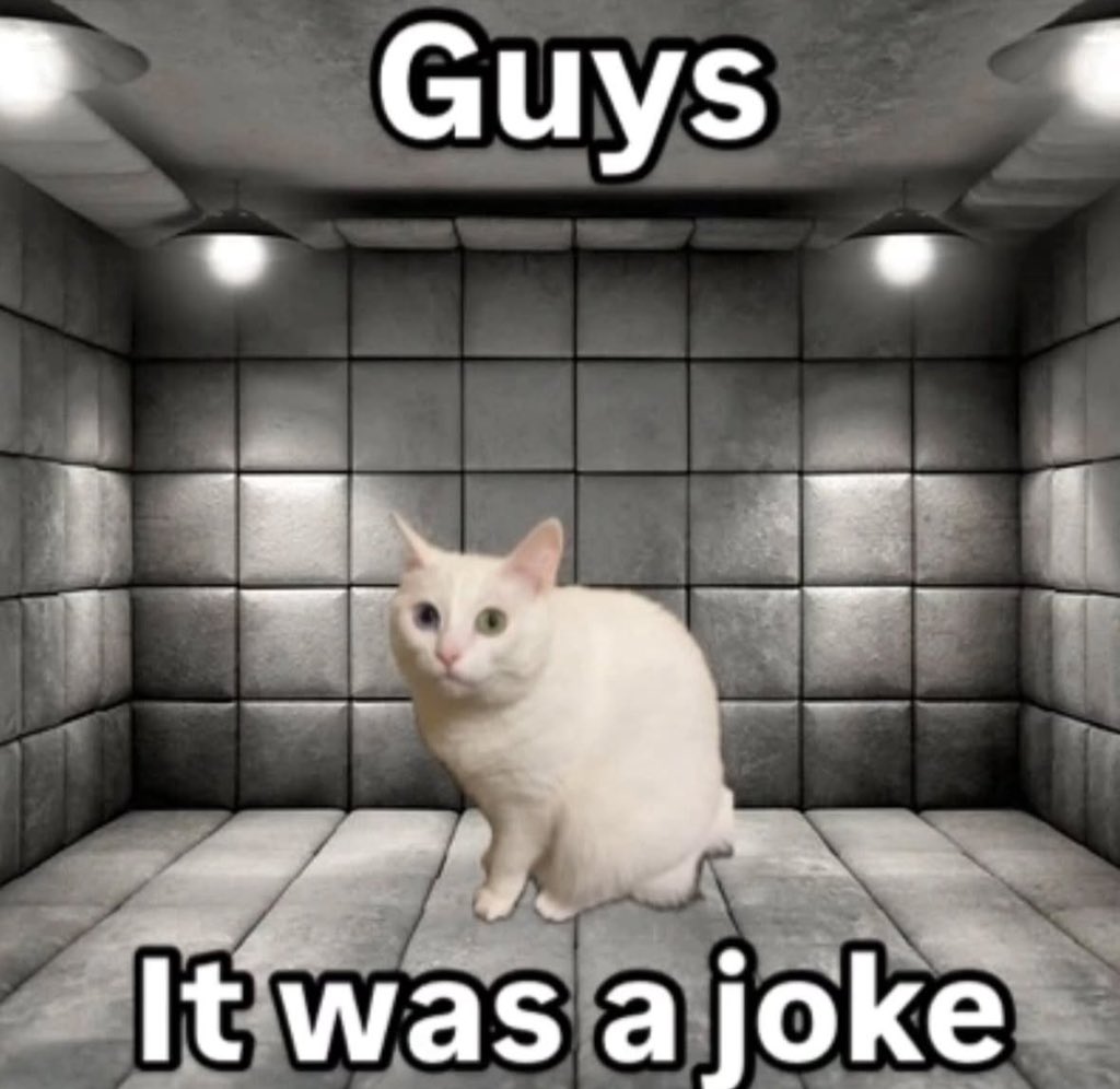 LiterallyMeCats (@literallymecats) on Twitter photo 