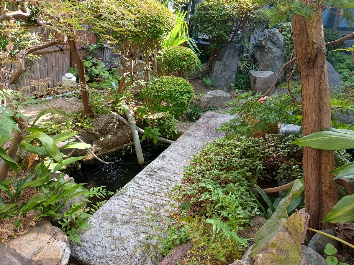 おはようございます☀️
今朝は晴れています
絶妙に暑い日が続いていますね！
湿気などでも暑いときもありますので気を付けていきましょう！
今日も一日よろしくお願いします！

#企業公式が朝の挨拶を言い合う