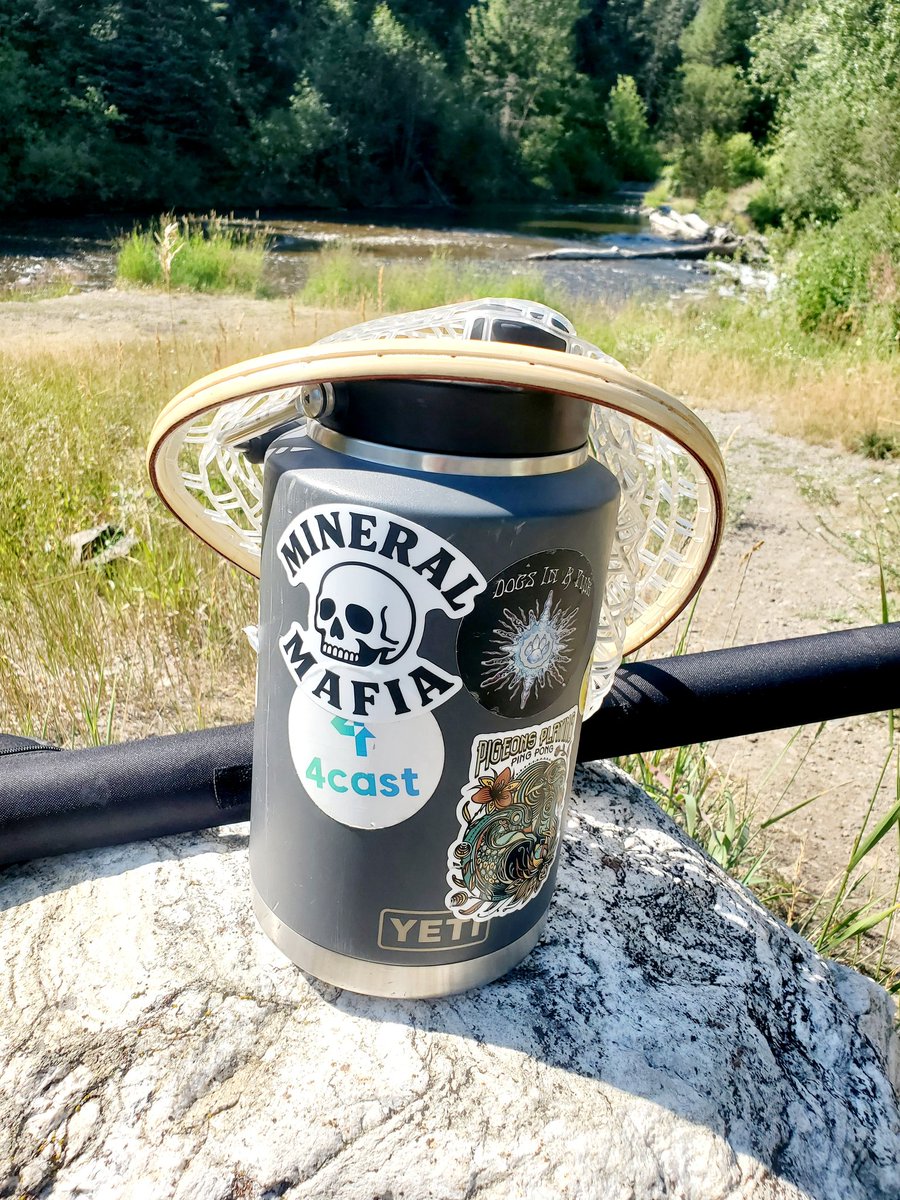 Ripping Whale tweet media