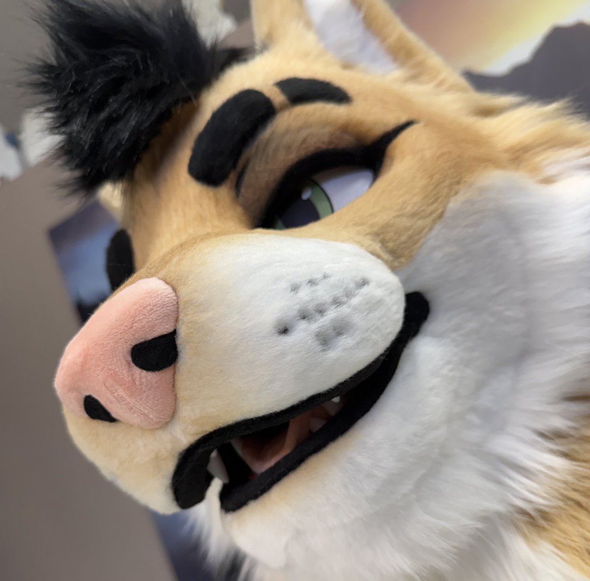 Mixedcandy Inc tweet media