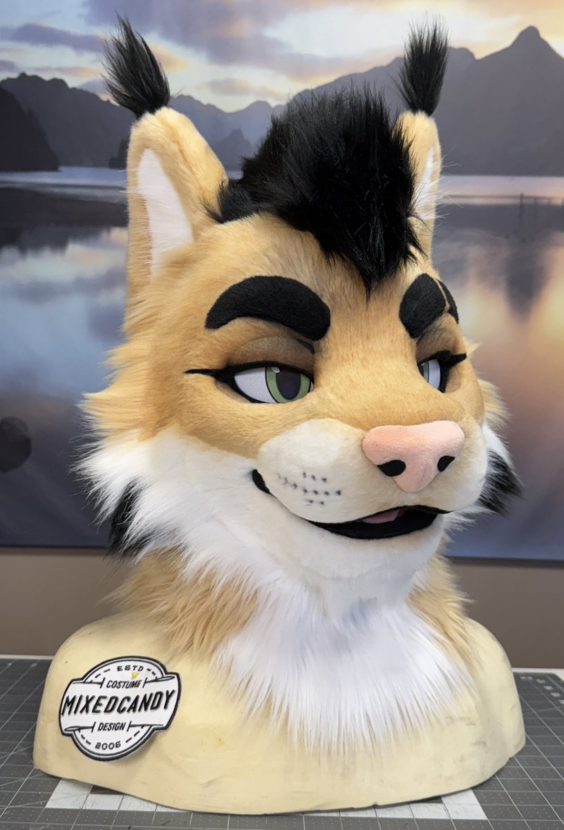 Mixedcandy Inc tweet media