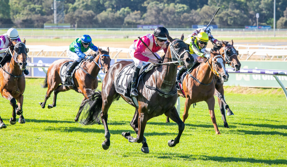 <a href="/MickyGrantham/">Michael Grantham</a> | 🏇

TWILIGHT TALE

"She worked with Cosmic Crusader on Wednesday and she kept up with him"

Michael Grantham on Twilight Tale, who he says is the best of his team's chances at Belmont Park tomorrow.

She's currently a $2.80 favourite in Race 6 with <a href="/TAB_touch/">TABtouch</a>
