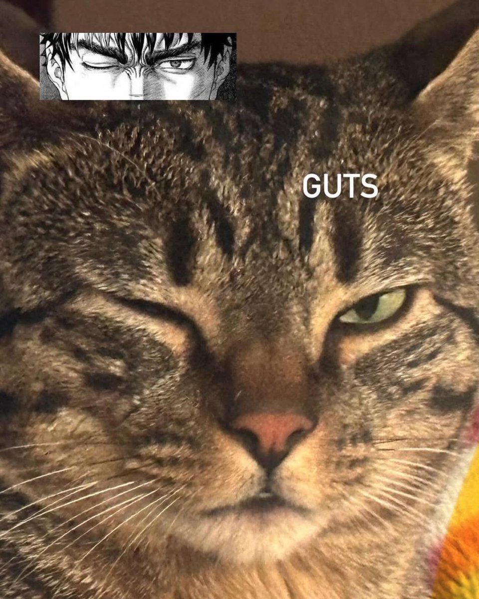 Rage Of Berserk (@rageofberserk) on Twitter photo 