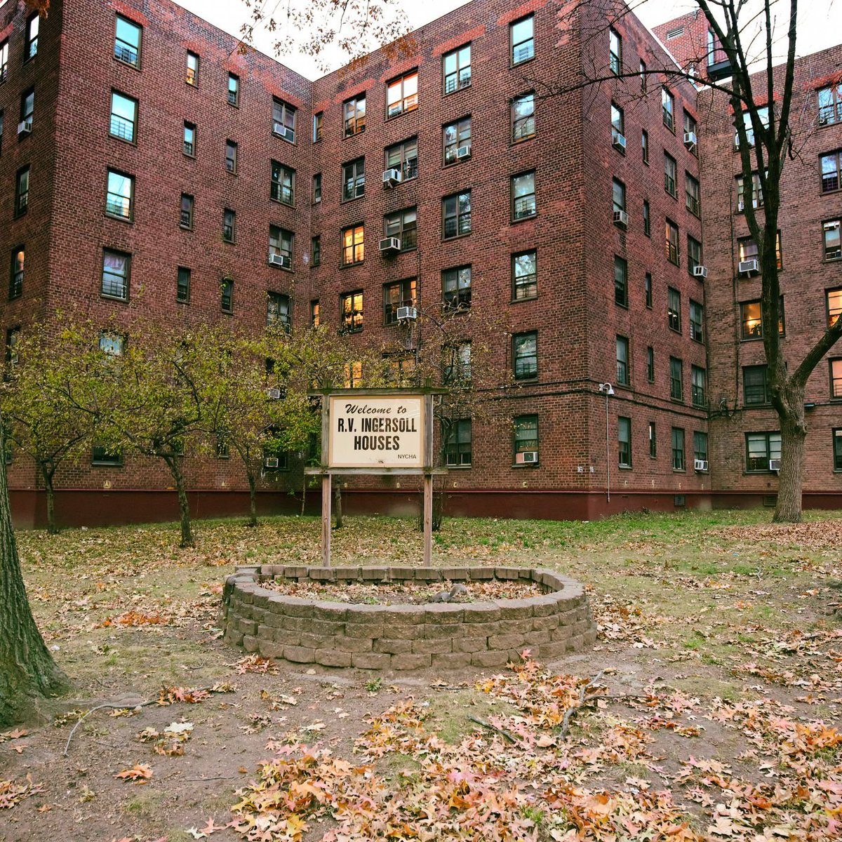 Morse Report tweet media