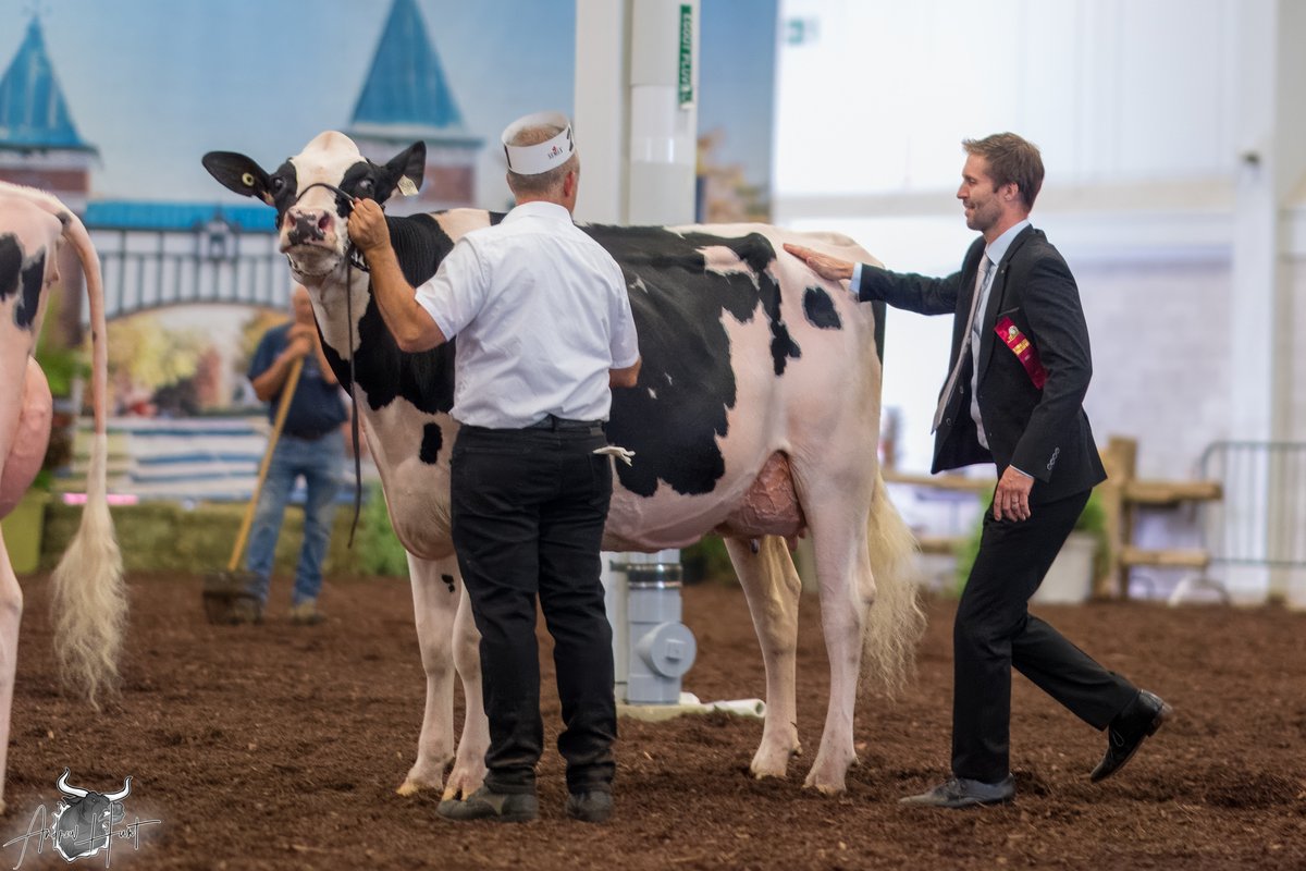 MAPLEBURN LAMBDA LICKEDY SPLIT
 Intermediate Championship
Le Supreme Laitier Holstein Show 2025
SHOWBOX SIRES, ENOSBURG, VT

See complete coverage at bit.ly/460tq9p