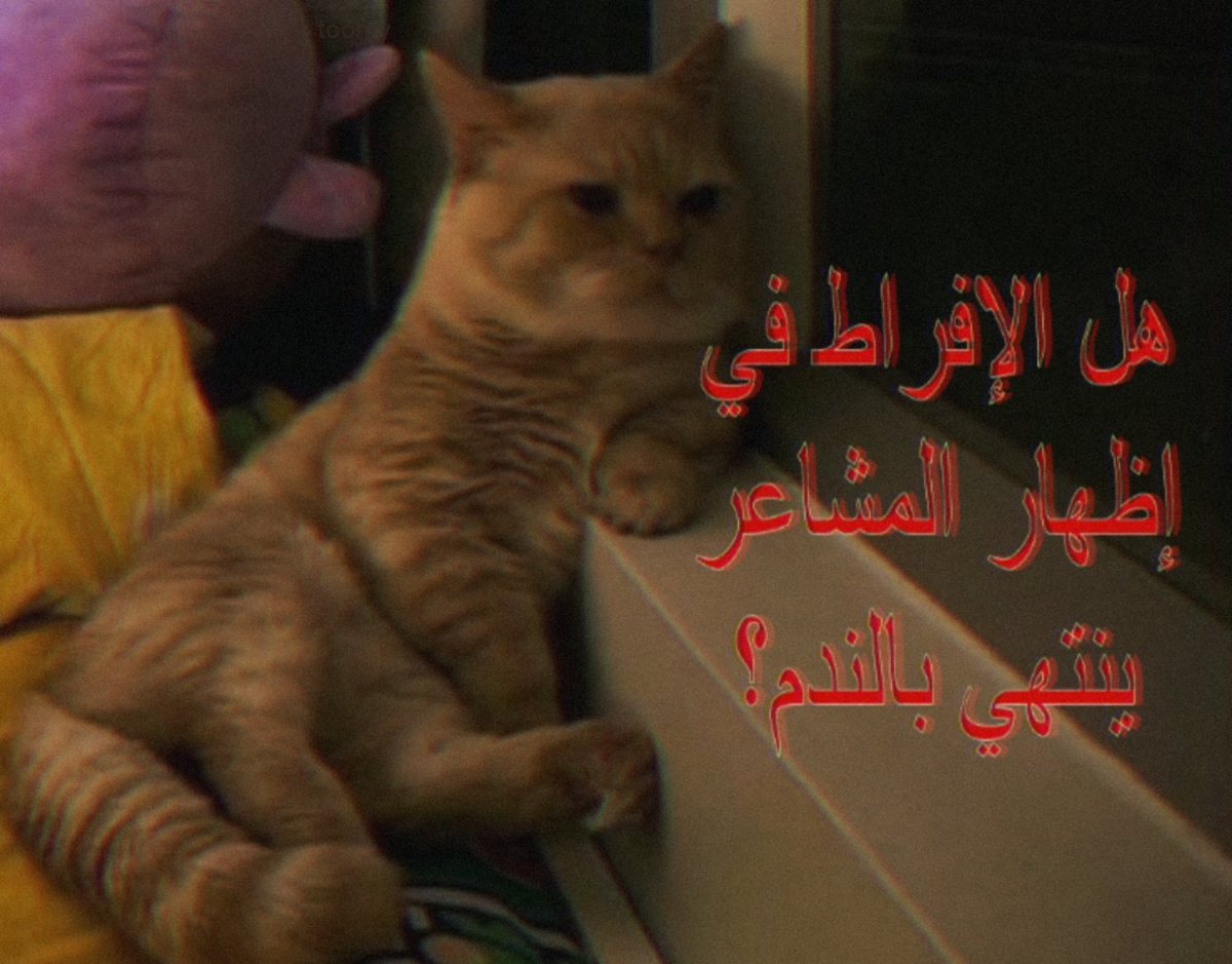 Toomy (@meow9my) on Twitter photo 