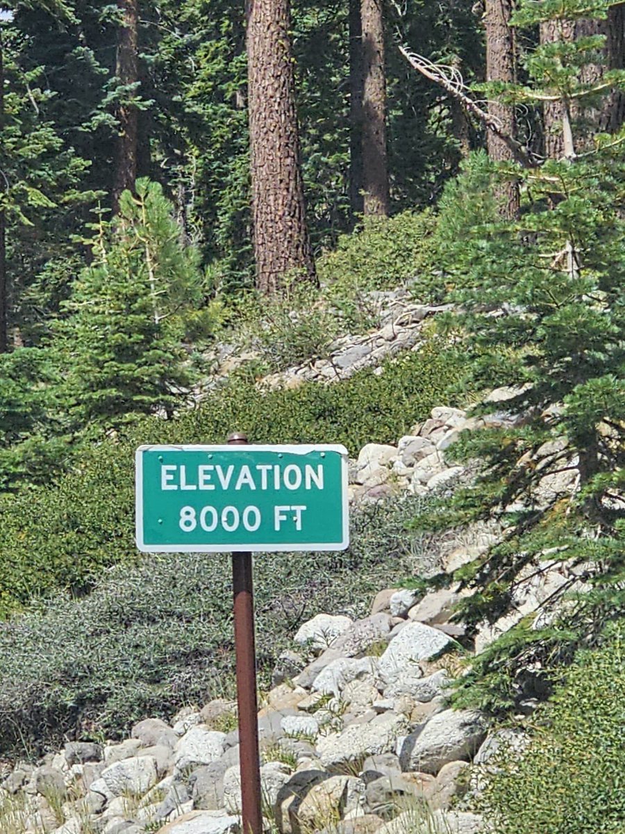 On top of beautiful Mt. Rose in Lake Tahoe, NV!!