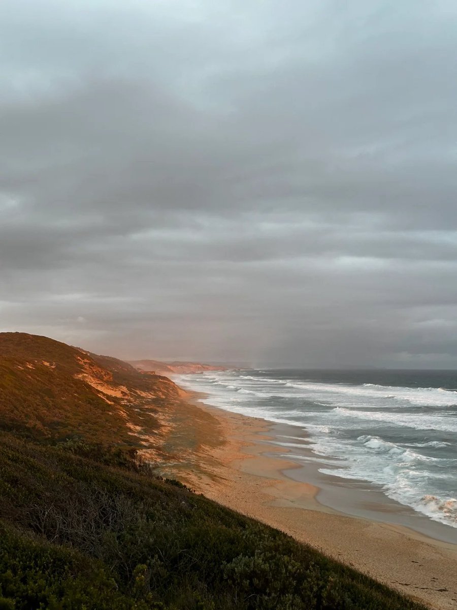 Lisa8945's tweet image. Go to London Bridge Lookout at sunset and you will see