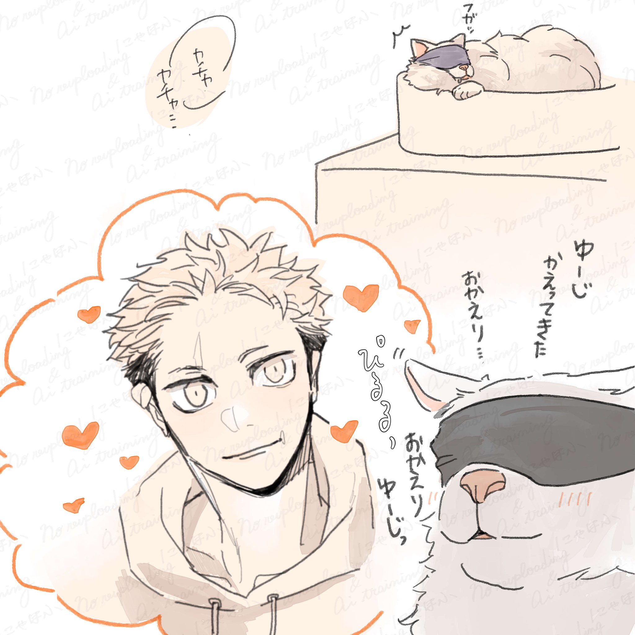 🤍🐈にゃんまる🐈🤍 (@meow_321_) / X