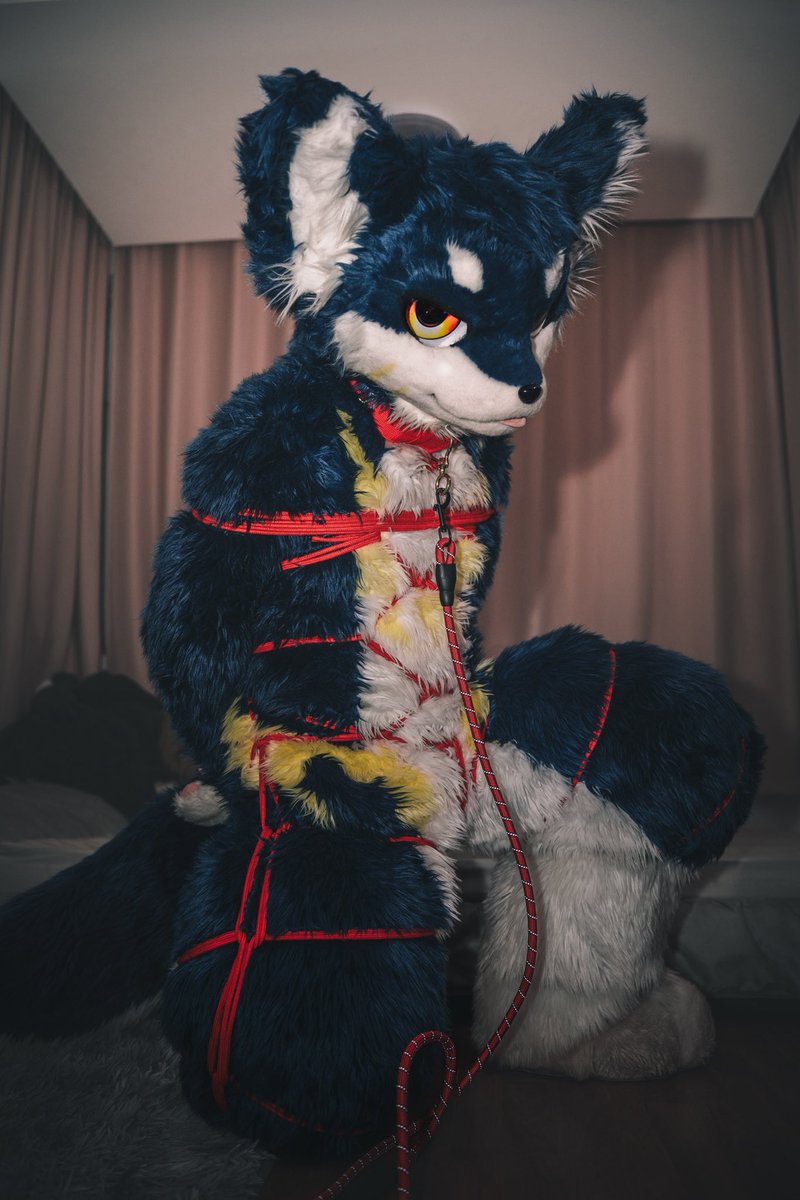 【750粉特别更新】750fo感謝！

不给我解开？那我就自便啦～
诶诶诶？这绳子怎么挣不开？
禁魔？不对不对，浑身没力气…站都站不住了…卑鄙！你在绳子上抹了什么？

ズルい！…绳に何したの？！やばい…体がヨロヨロする…立つことすらできない…

1000粉更新あと1000fo～
#FursuitsFriday #ボンデージ