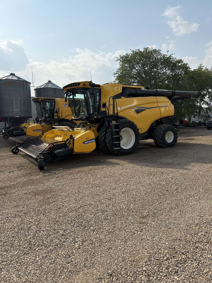 Out of the field and into the cleaner.  🫛 🛁 

Our Pedigreed CDC Tollefson Yellow Peas are going straight from the field, to the seed cleaning plant.  Stop in for coffee, or give us a call to book your 2026 pedigreed seed.

We wish you all a safe and bountiful harvest.