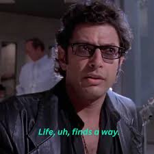 Trip ⚒ tweet media