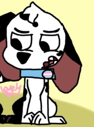 Her new name is Dapple what do you think of the name