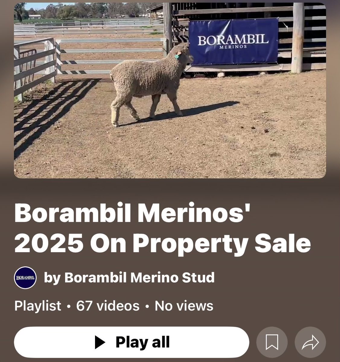 Check out the Borambil Merinos' 2025 On Property Sale Videos on YouTube youtube.com/playlist?list=… via <a href="/YouTube/">YouTube</a>